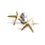 Star Gloss Earrings - DANIMOSE